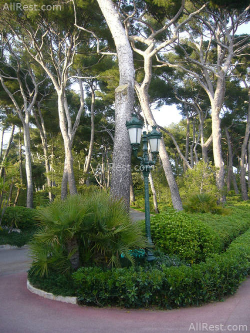 Hotel du Cap Eden-Roc 16